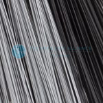 00005513_det_1[1]